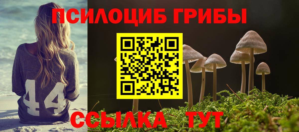 Новотроицк  Галлюциногенные грибы ЛСД  Вход с VPN  как найти закладки  Галлюциногенные грибы мухоморы 